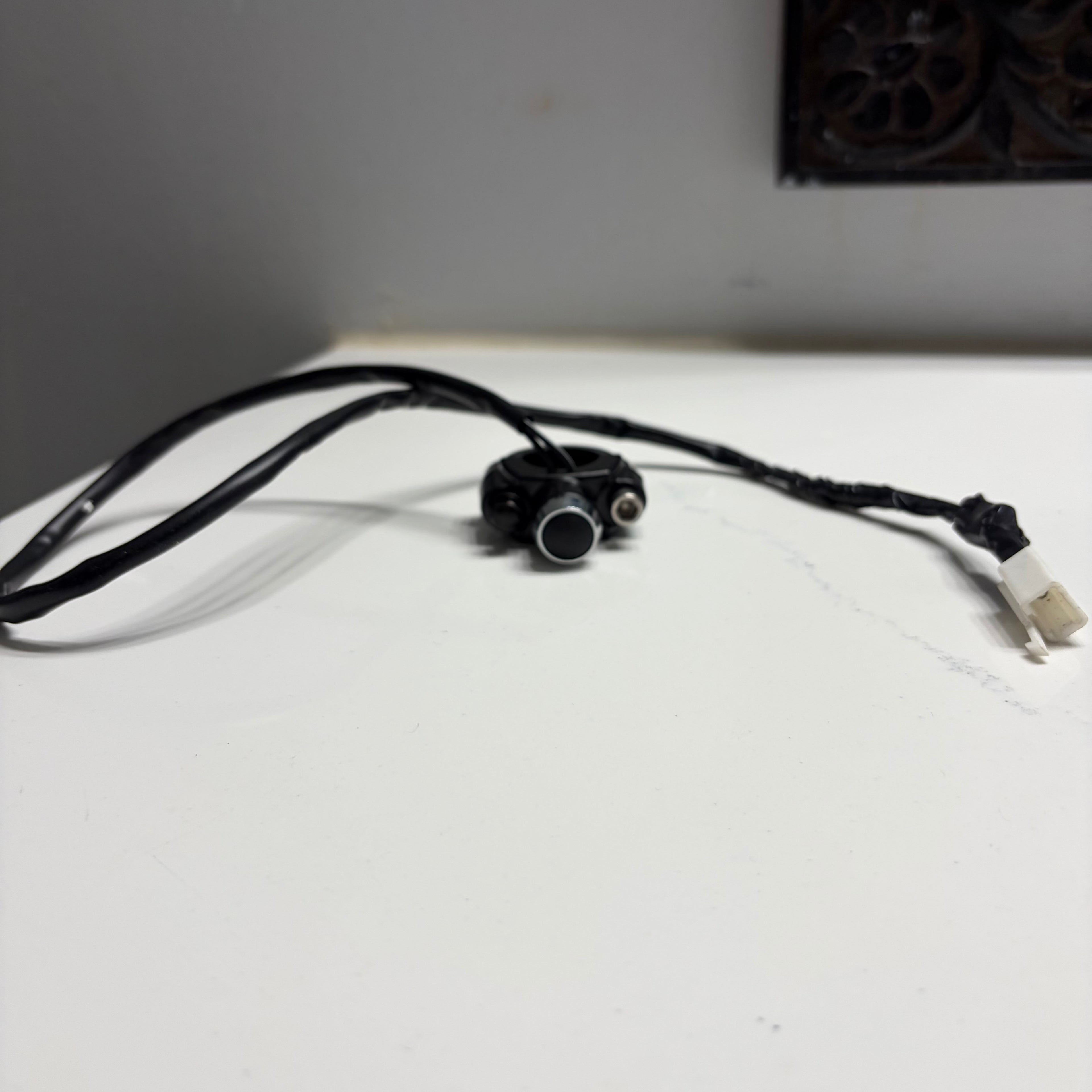 Vevor kit regen button